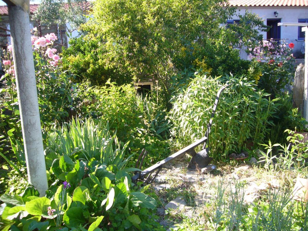 Casinha da Aldeia Castelo Branco (Centro) Exterior foto