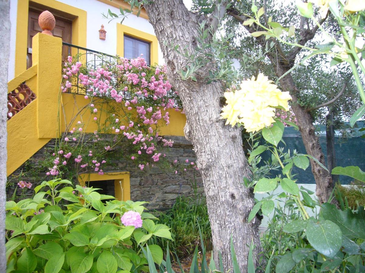Casinha da Aldeia Castelo Branco (Centro) Exterior foto