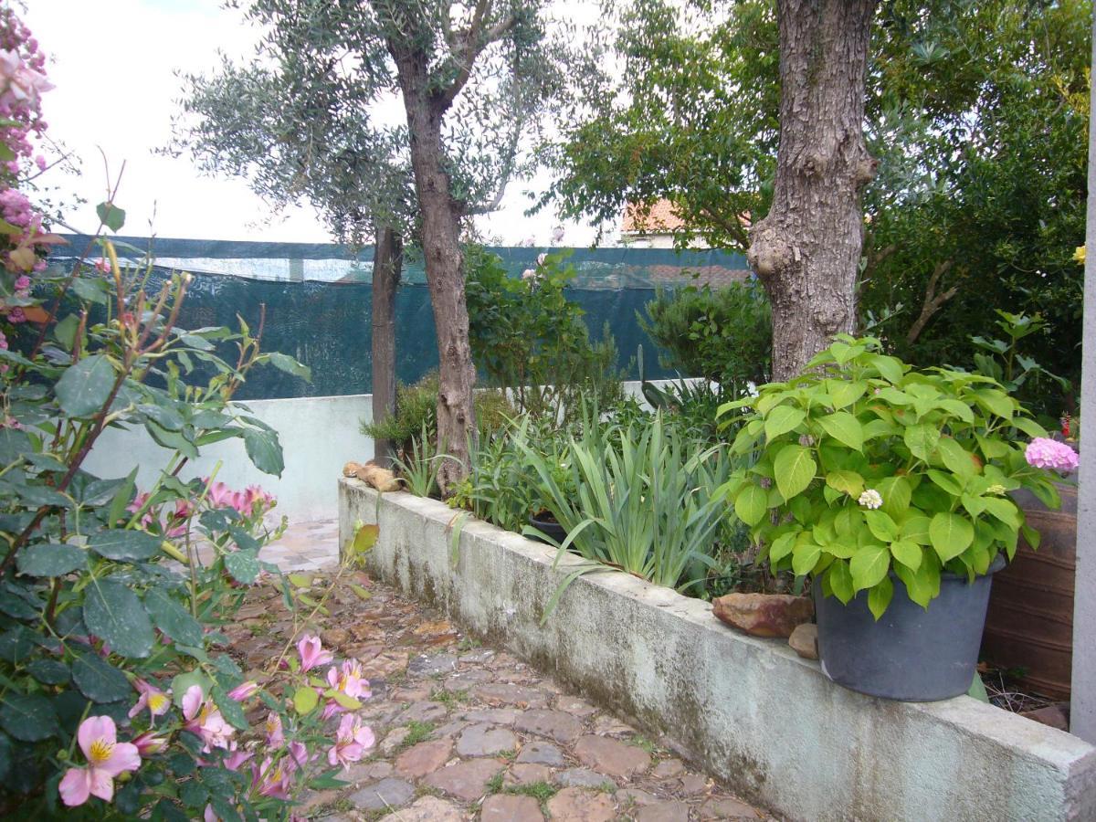 Casinha da Aldeia Castelo Branco (Centro) Exterior foto